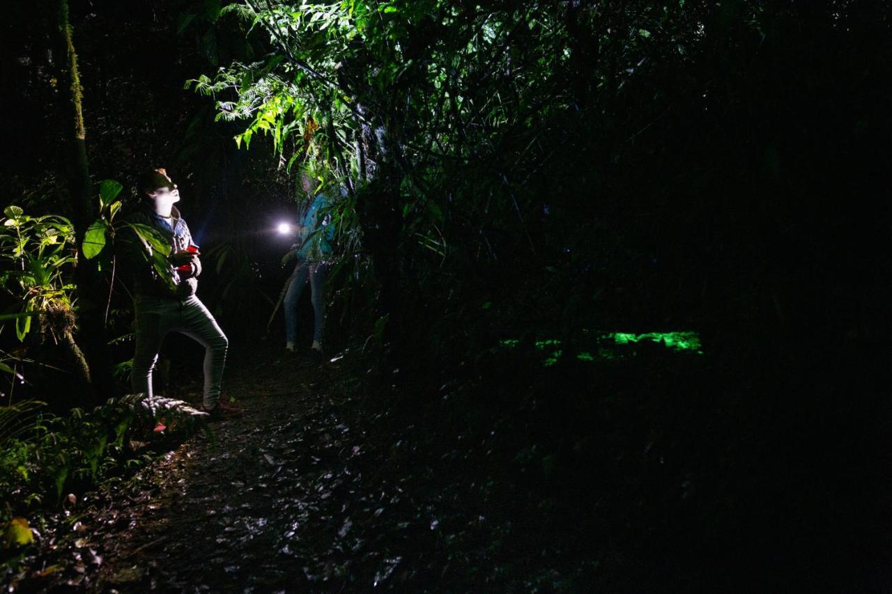 Eden Treehouse Villa Mindo Luaran gambar