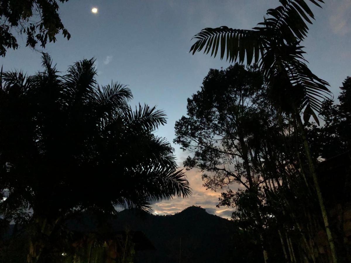 Eden Treehouse Villa Mindo Luaran gambar