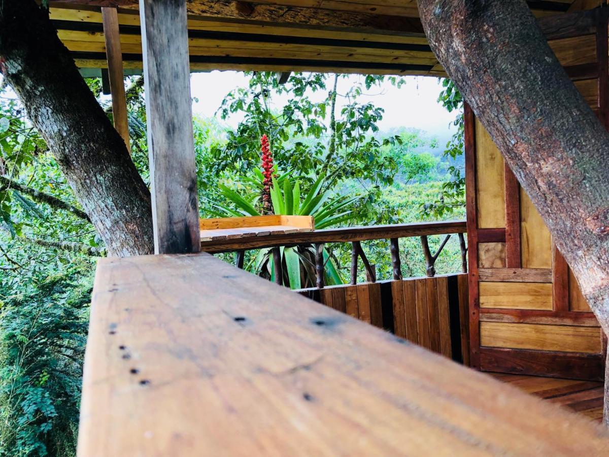 Eden Treehouse Villa Mindo Luaran gambar