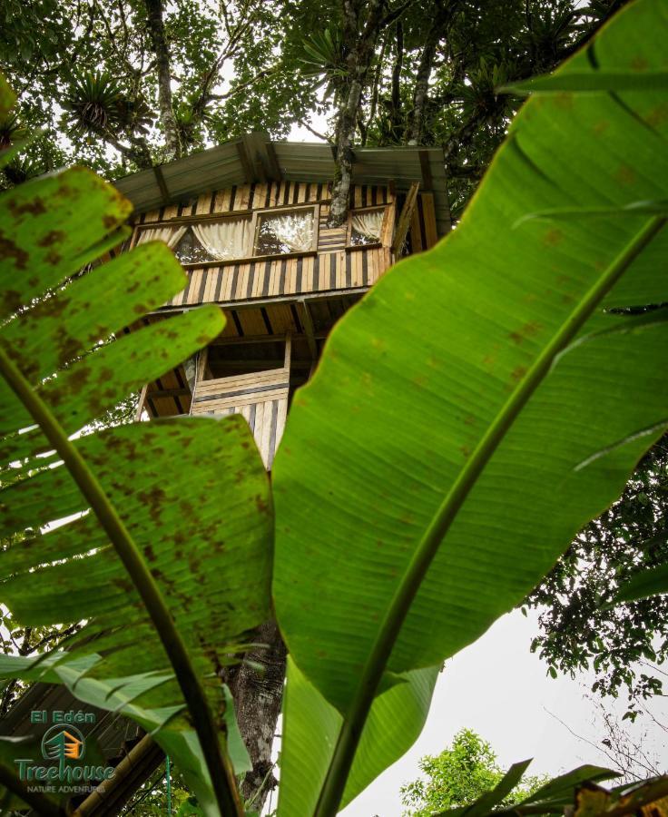 Eden Treehouse Villa Mindo Luaran gambar