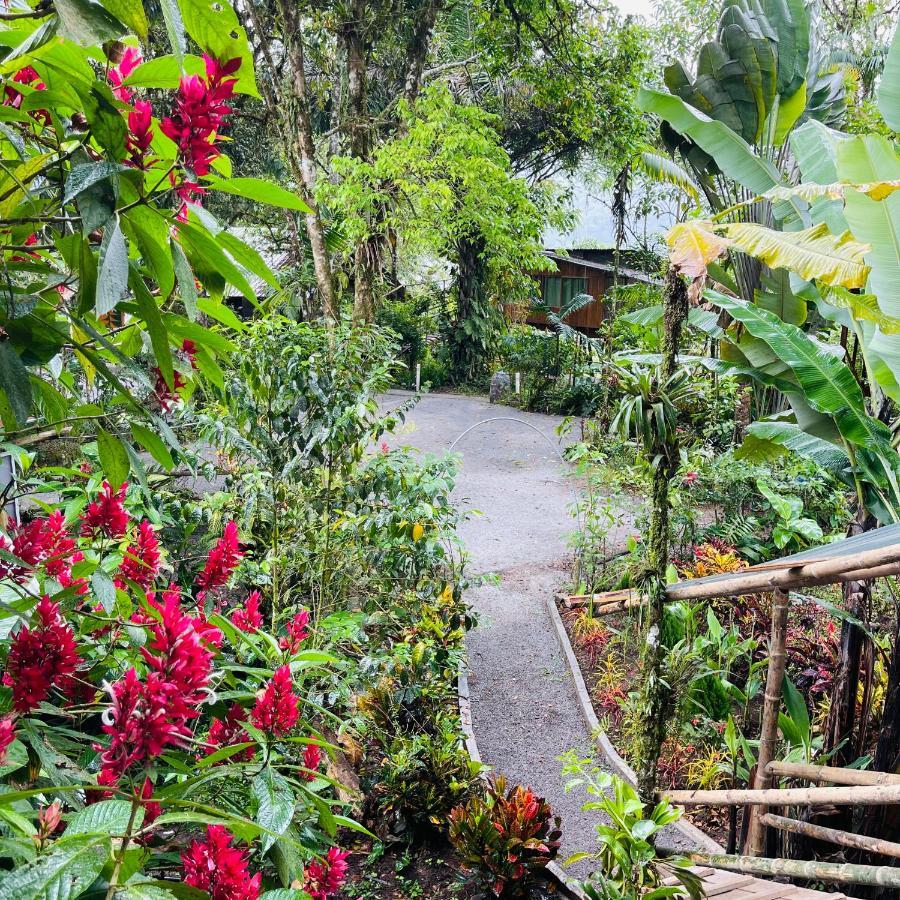 Eden Treehouse Villa Mindo Luaran gambar