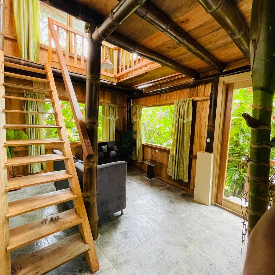 Eden Treehouse Villa Mindo Luaran gambar