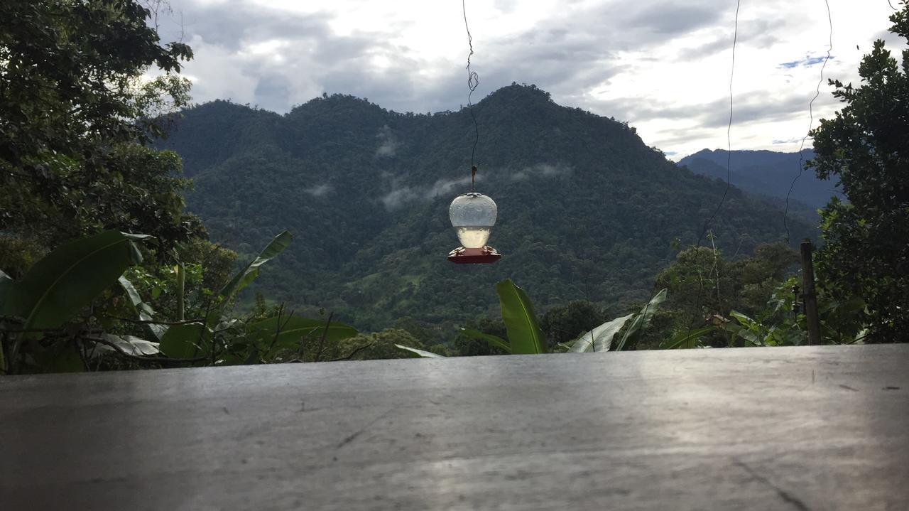 Eden Treehouse Villa Mindo Luaran gambar