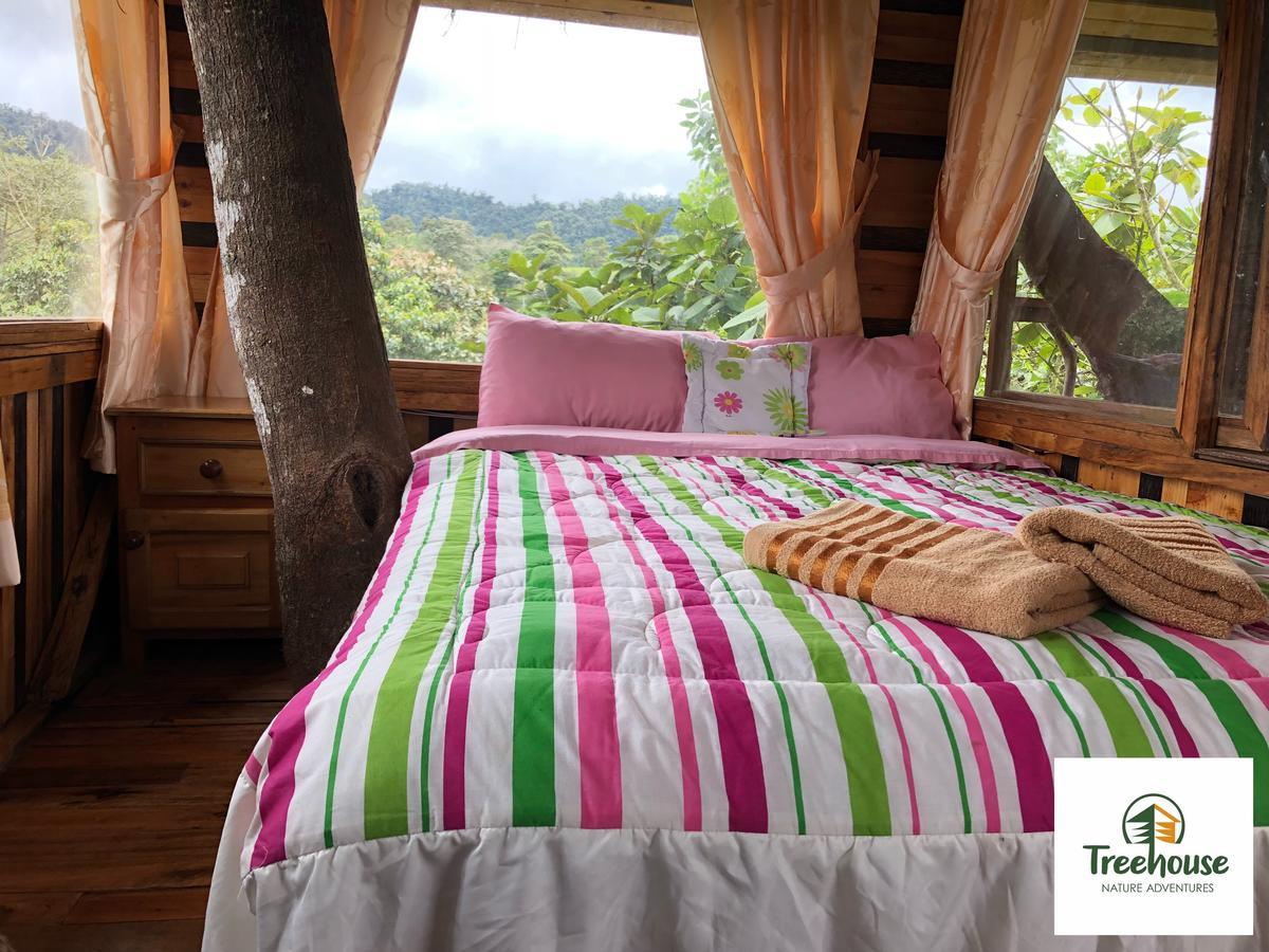 Eden Treehouse Villa Mindo Luaran gambar