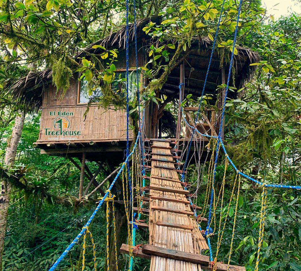 Eden Treehouse Villa Mindo Luaran gambar